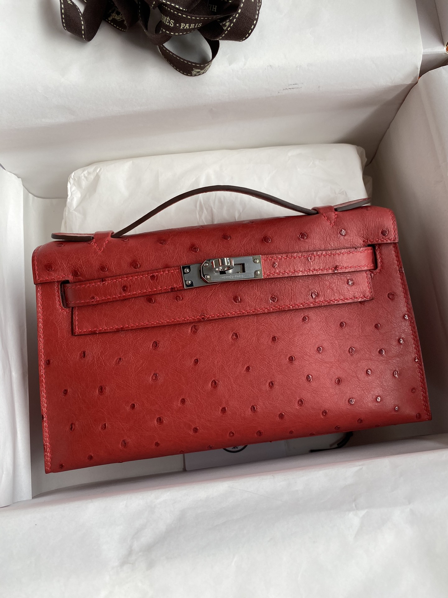 Hermes Mini Kelly Pochette 22cm Bag In Red Ostrich Leather